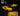 Works (Pop Race) Pandem Toyota Supra TMCS Malaysia 2026 Special Edition